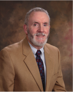 retail technology consultants